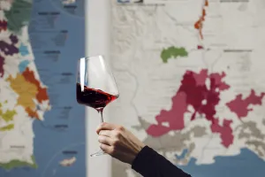 Terroir i glaset: 3 viner med en tydlig adress