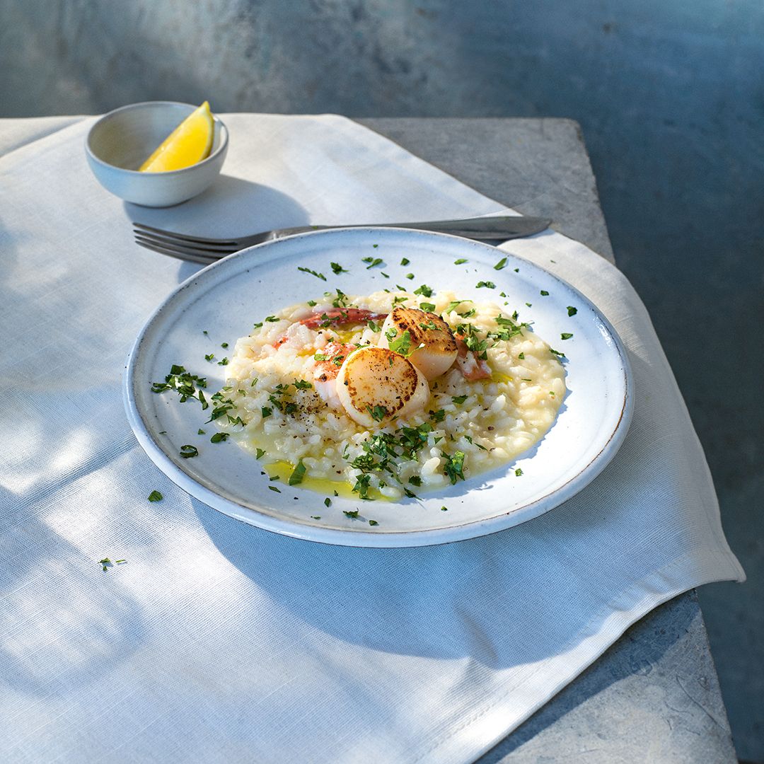 Risotto med pilgrimsmusslor & hummer