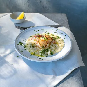 Risotto med pilgrimsmusslor & hummer
