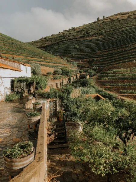 Vad gör vinlandet Portugal speciellt?