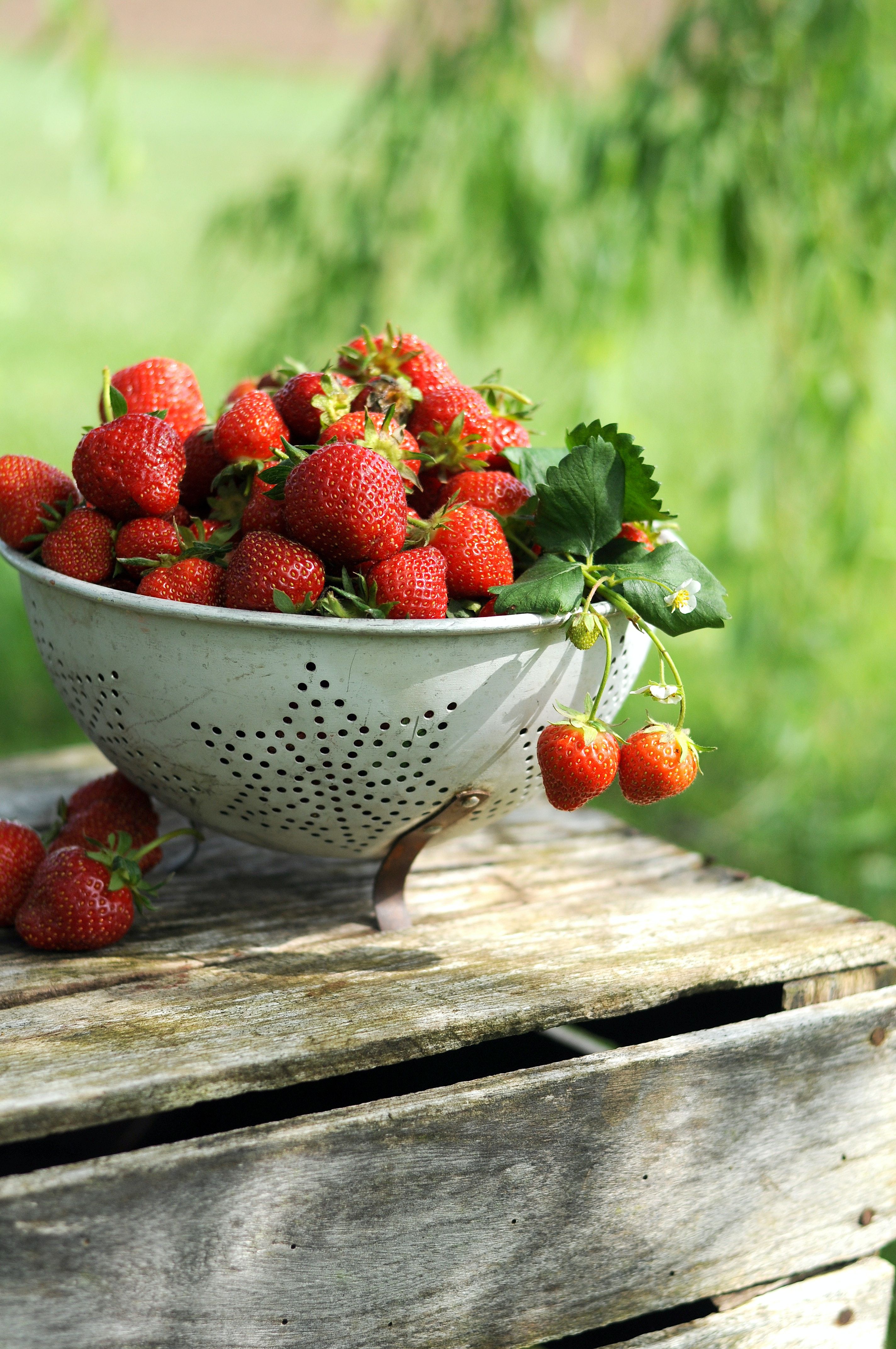 Sista-minuten-tips för midsommar