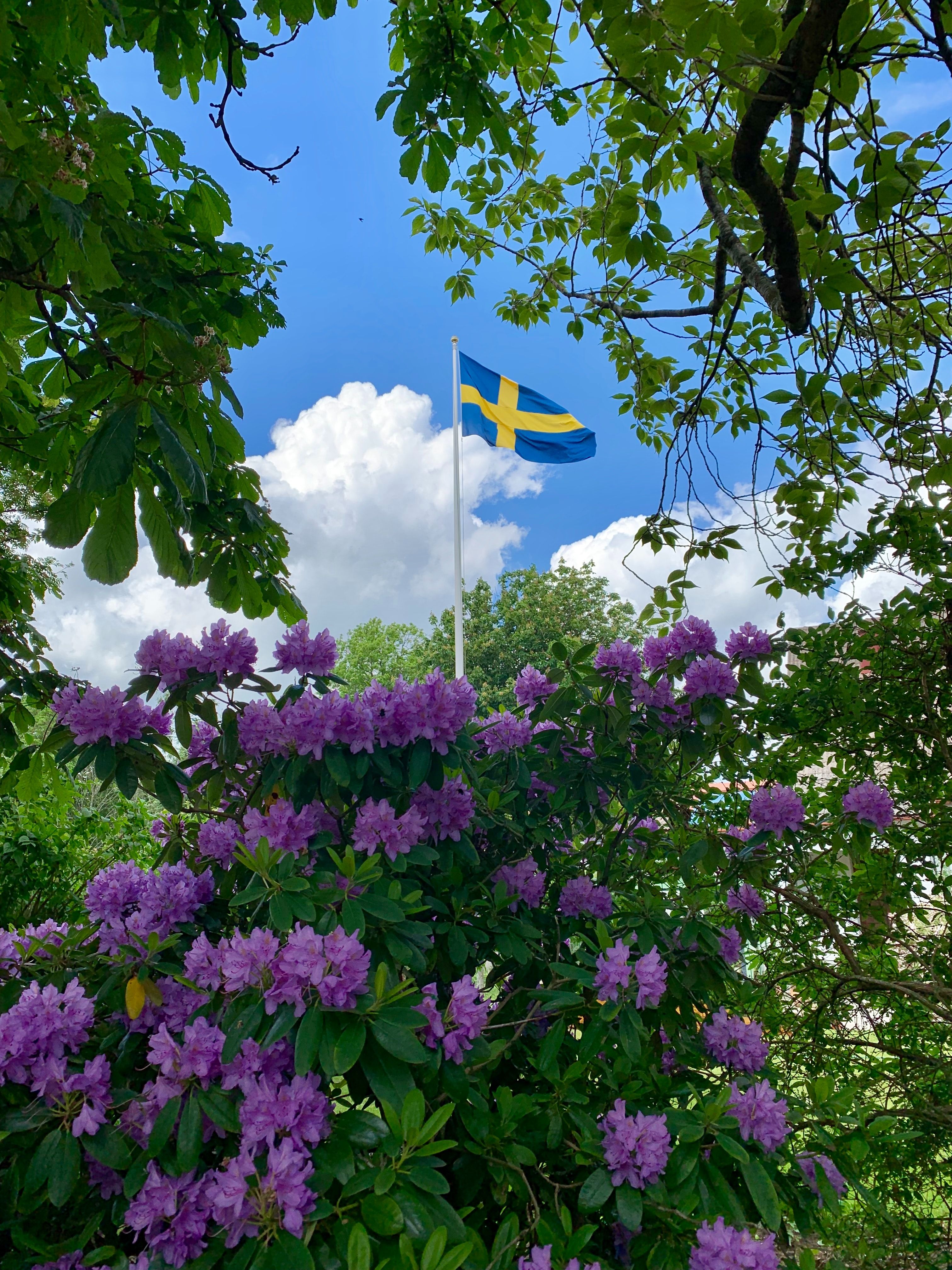Inköpslista för pingst och nationaldag