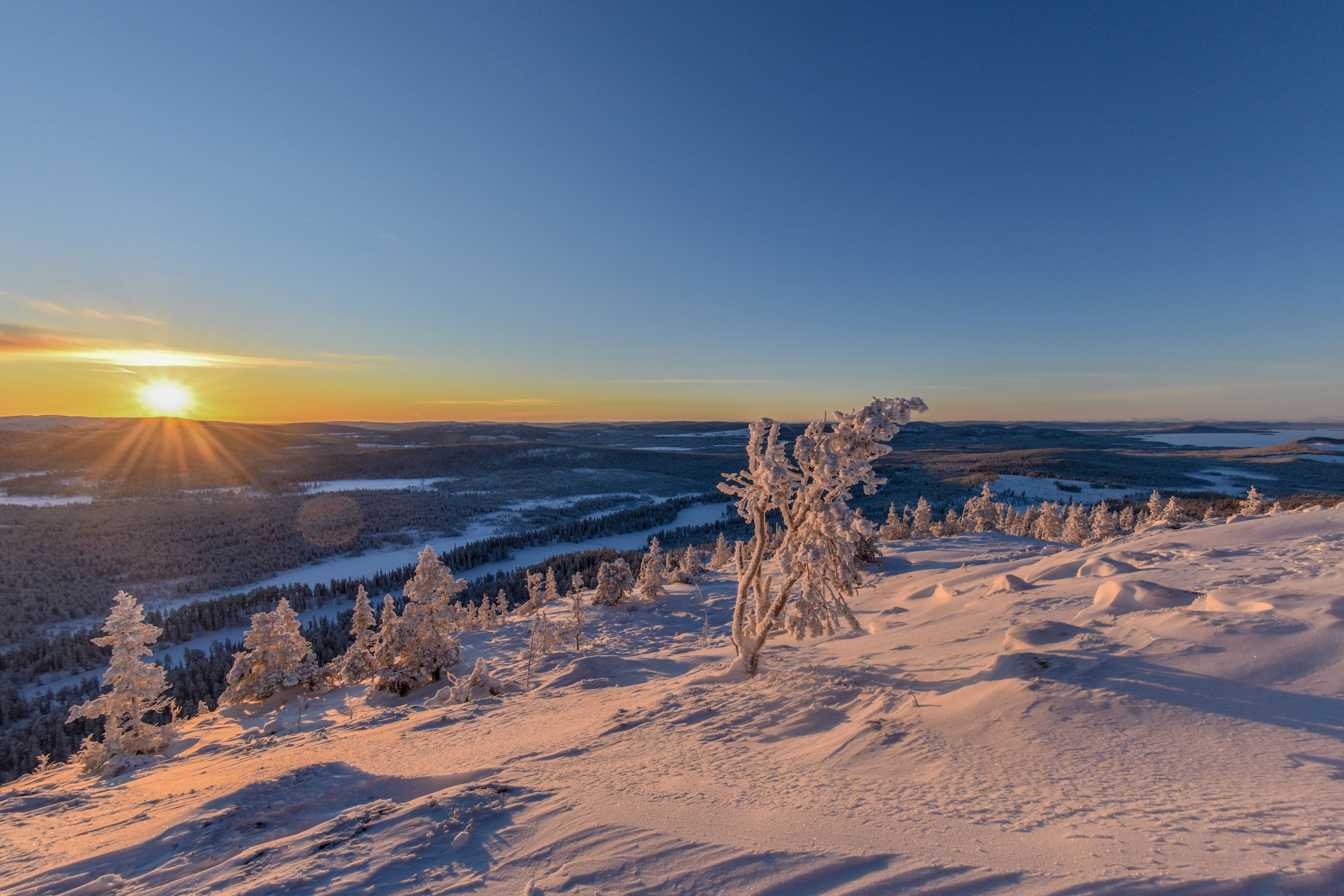 Utvalda viner för helgen 