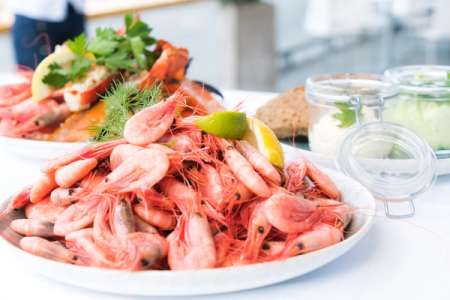 Guide: välja vin till skaldjur