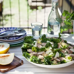 Kycklingsallad med melon och mozzarella